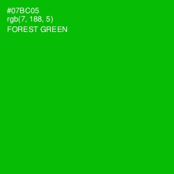 #07BC05 - Forest Green Color Image
